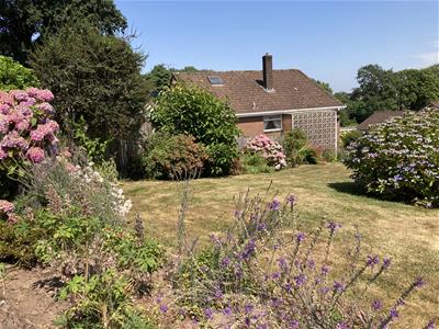 Picture 17